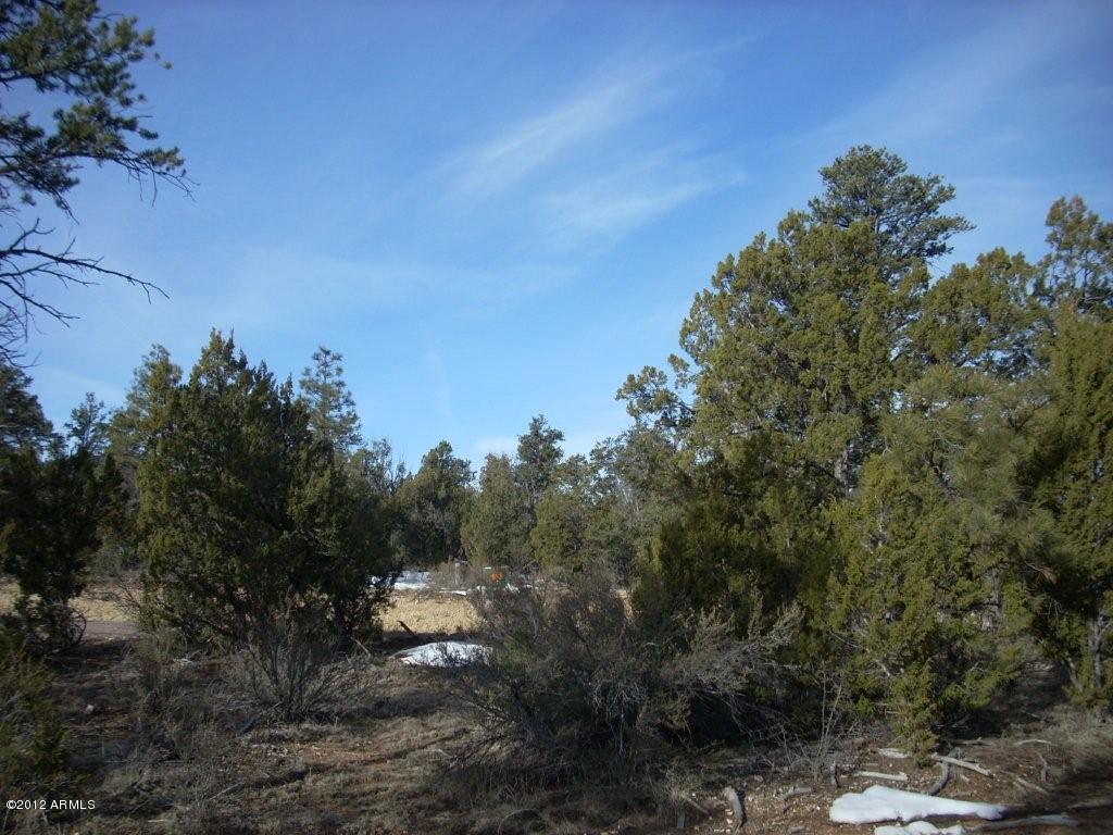 3329 Saw Mill Ridge Loop, Unit 102 Heber, AZ 85928 - Photo 7 of 11 7