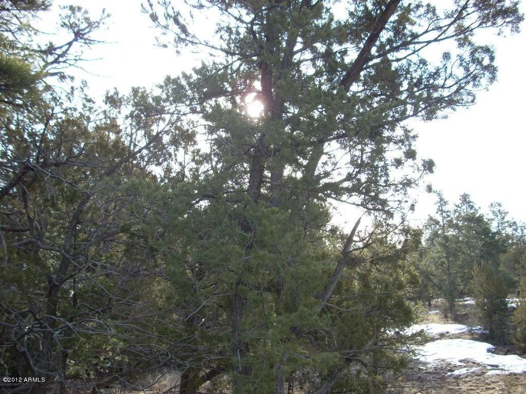 3329 Saw Mill Ridge Loop, Unit 102 Heber, AZ 85928 - Photo 8 of 11 8