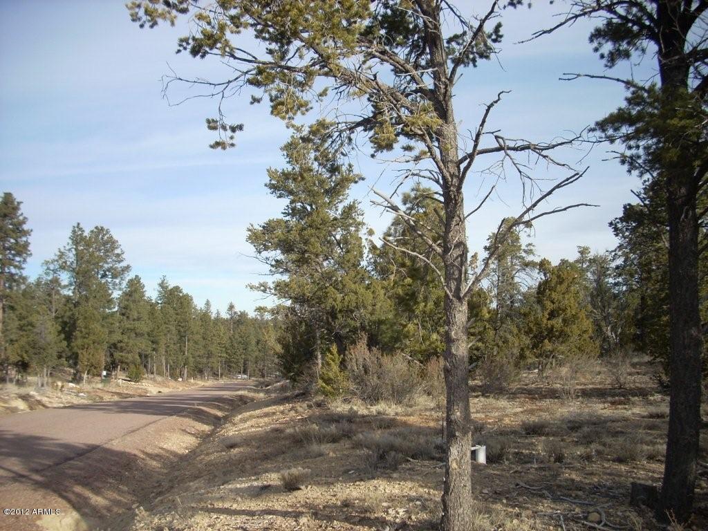 3329 Saw Mill Ridge Loop, Unit 102 Heber, AZ 85928 - Photo 10 of 11 10