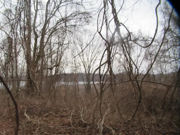 $52,900 | 17673 Long Lake Drive, Cassopolis, MI 49031