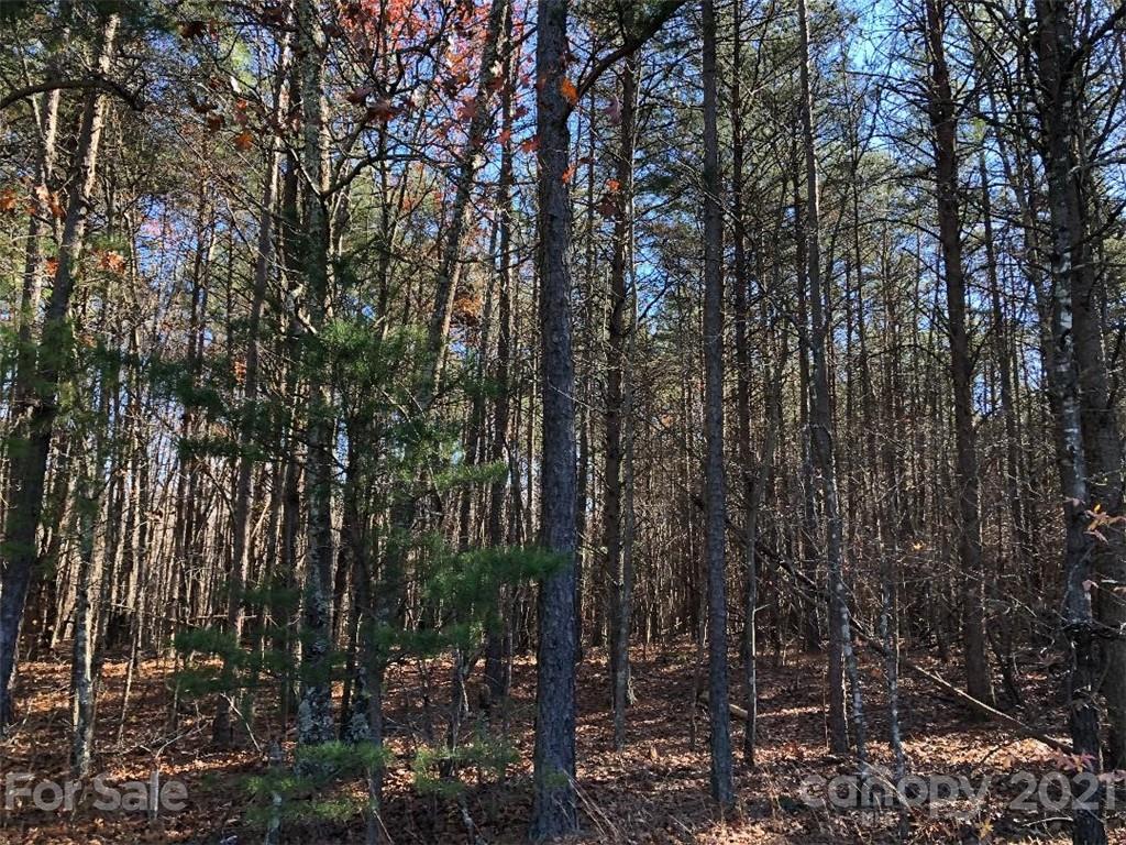 0 Morgan Road, Unit TRACT 7 Gold Hill, NC 28071 - Photo 2 of 3 Gallery Image 2