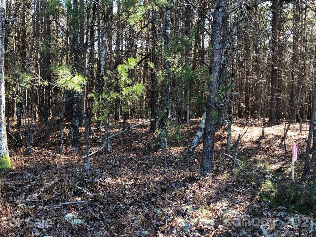 0 Morgan Road, Unit TRACT 7 Gold Hill, NC 28071 - Photo 3 of 3 Gallery Image 3