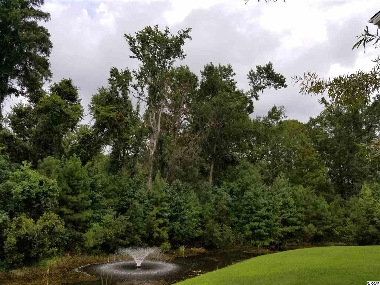 6010 Dick Pond Road, Unit 212 Myrtle Beach, SC 29588 - Photo 22 of 25 Gallery Image 22