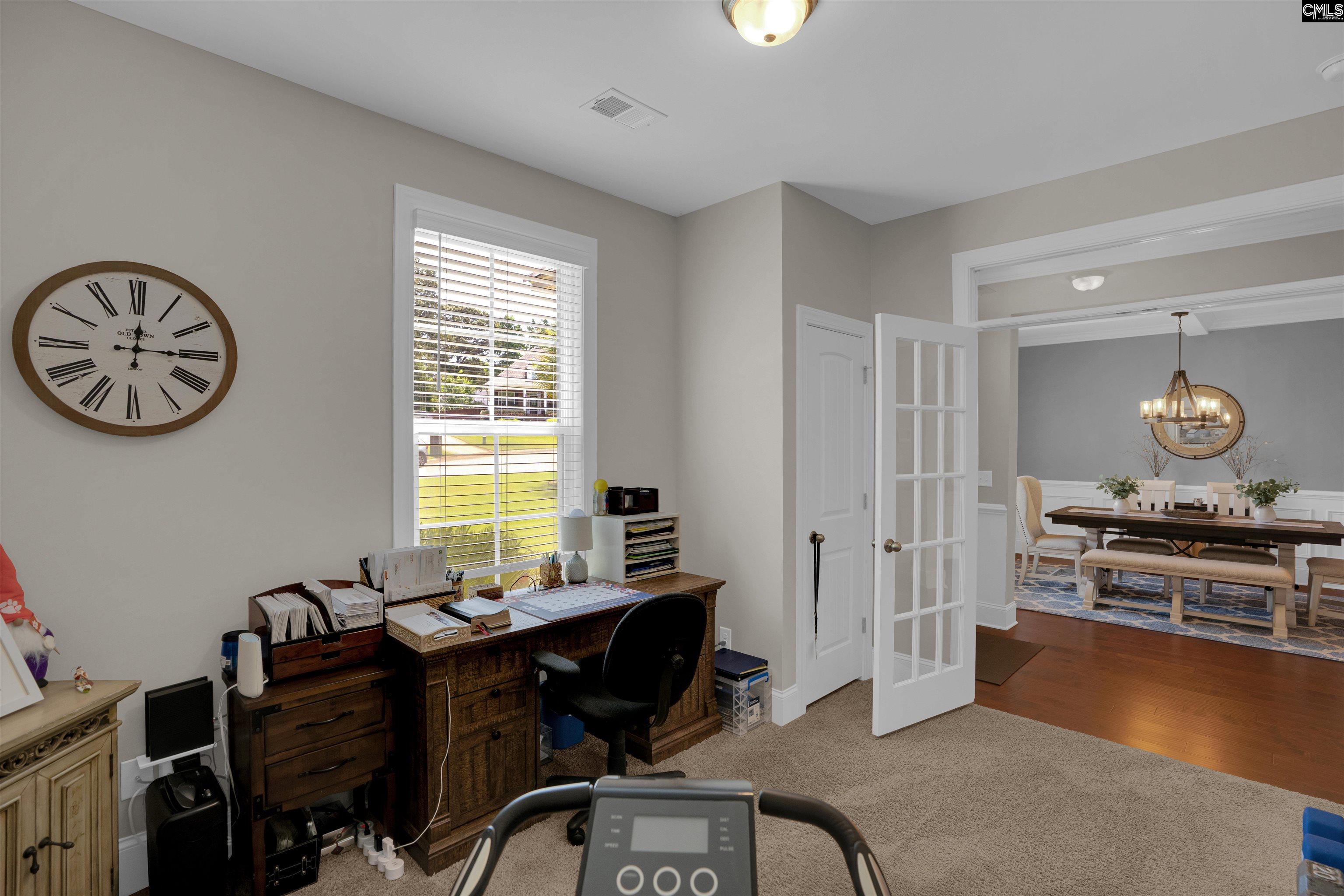 238 Hilton View Court Chapin, SC 29036 - Photo 15 of 63