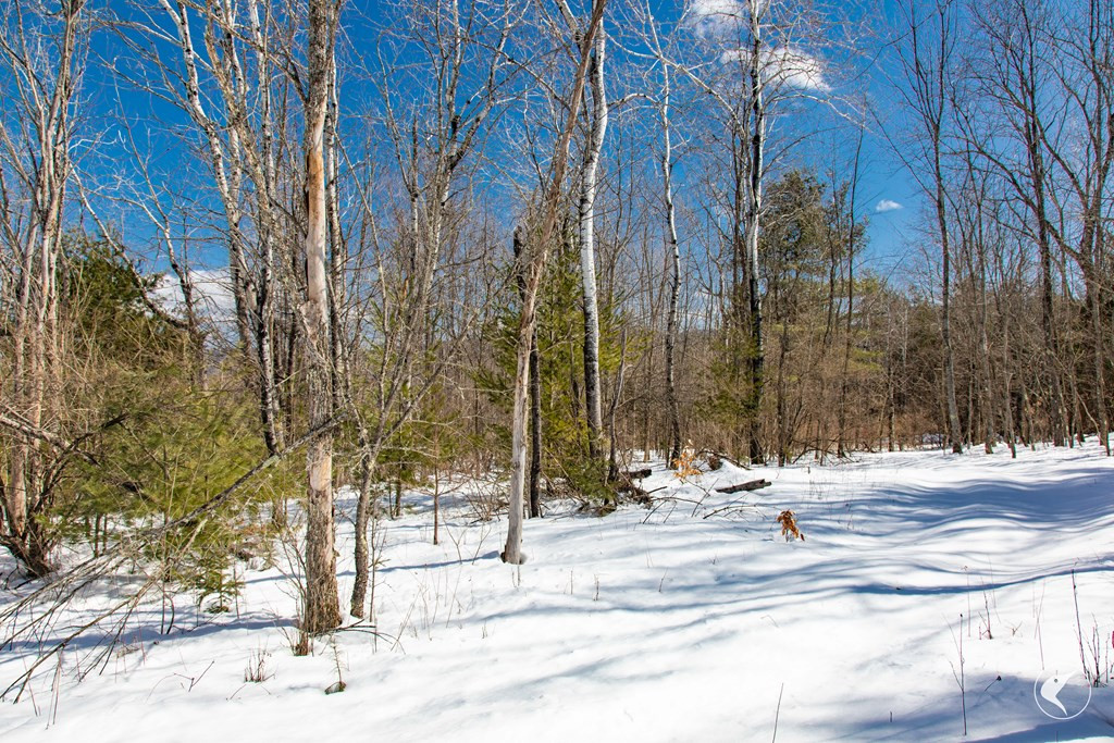 569 Stickney Bridge Road Jay, NY 12941 - Photo 13 of 23 Gallery Image 13