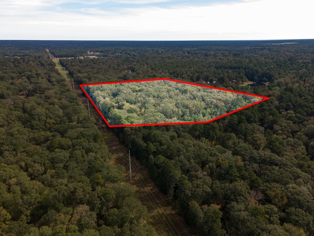 R33234 Platt Road Lufkin, TX 75901 - Photo 4 of 9