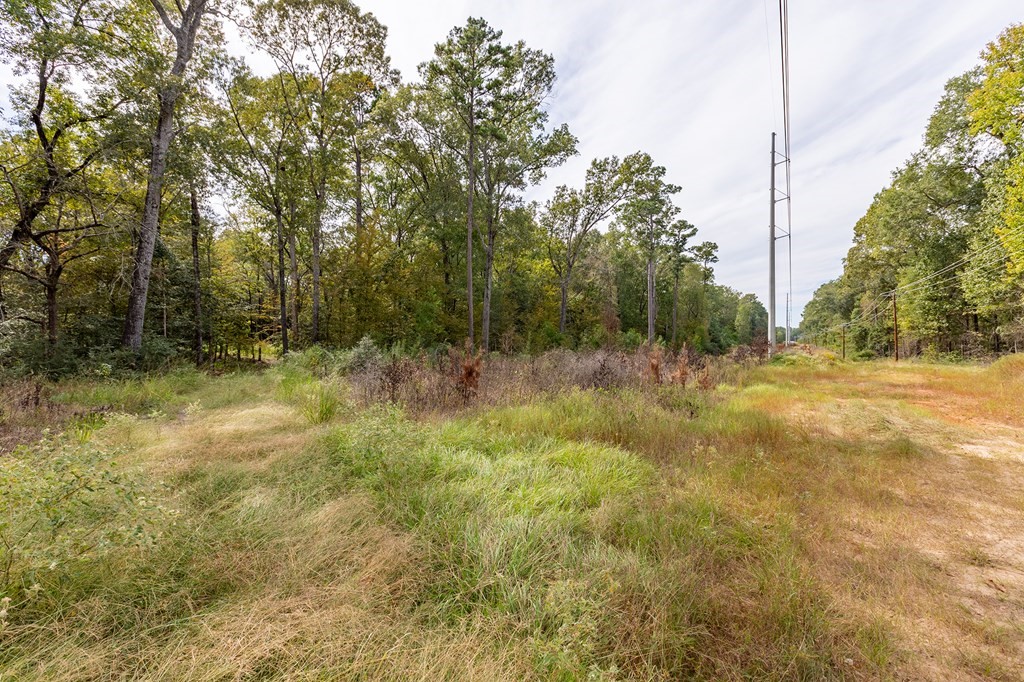 R33234 Platt Road Lufkin, TX 75901 - Photo 6 of 9