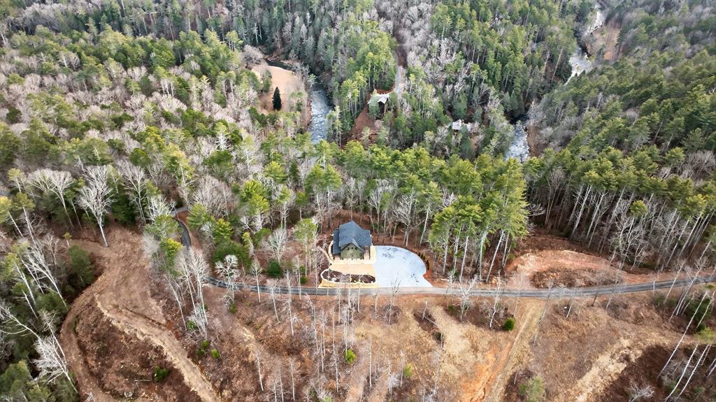 1312 Hicks Ford Road Ellijay, GA 30540 - Photo 67 of 95 Brand new hiking trail to the creek!