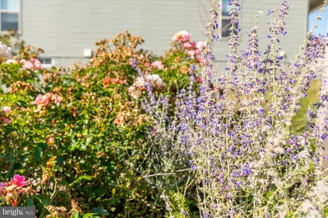 a house view with a outdoor space