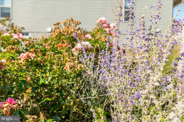 a house view with a outdoor space