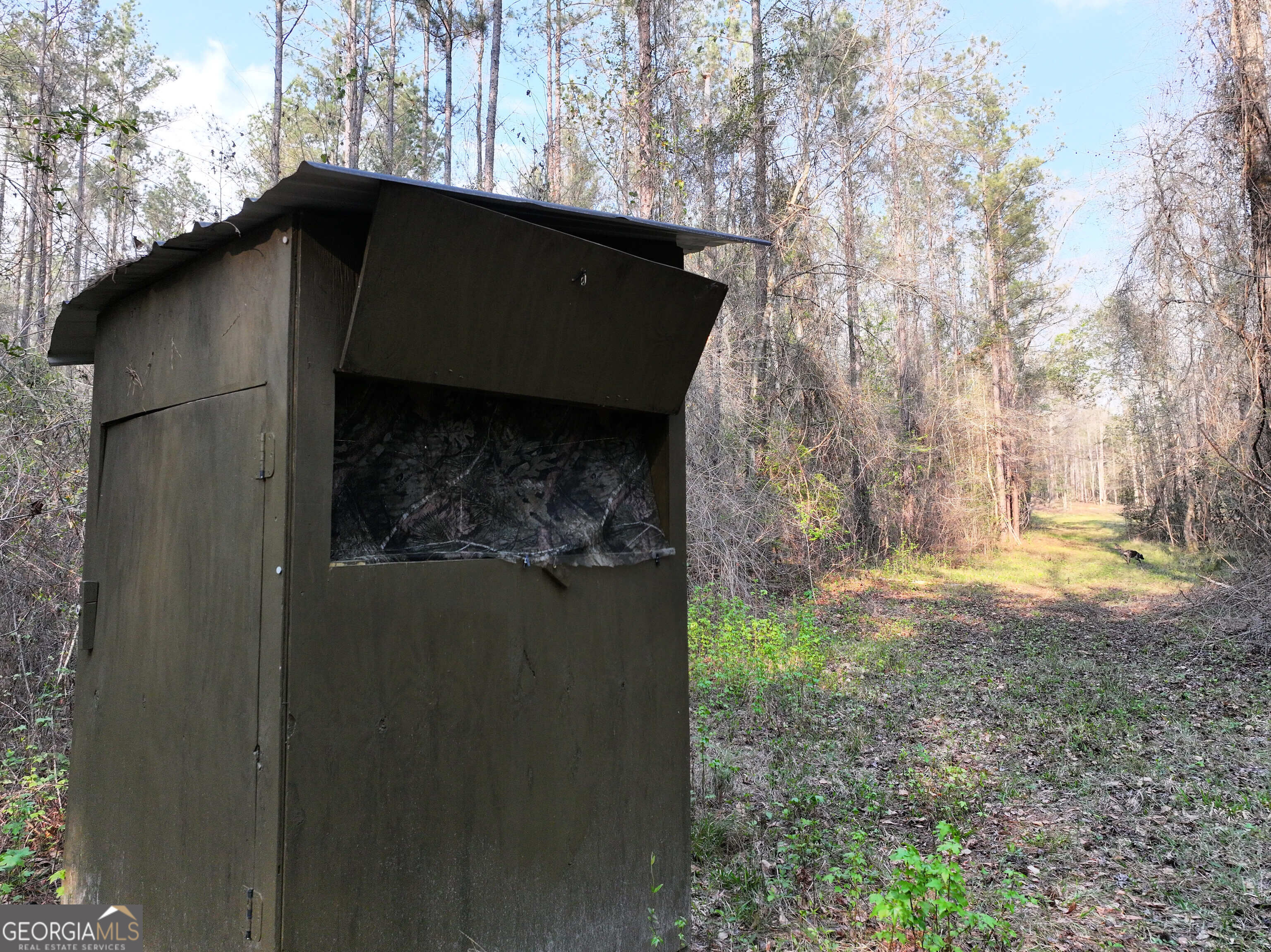 195 County Line Road Morris, GA 39867 - Photo 19 of 69 Gallery Image 19