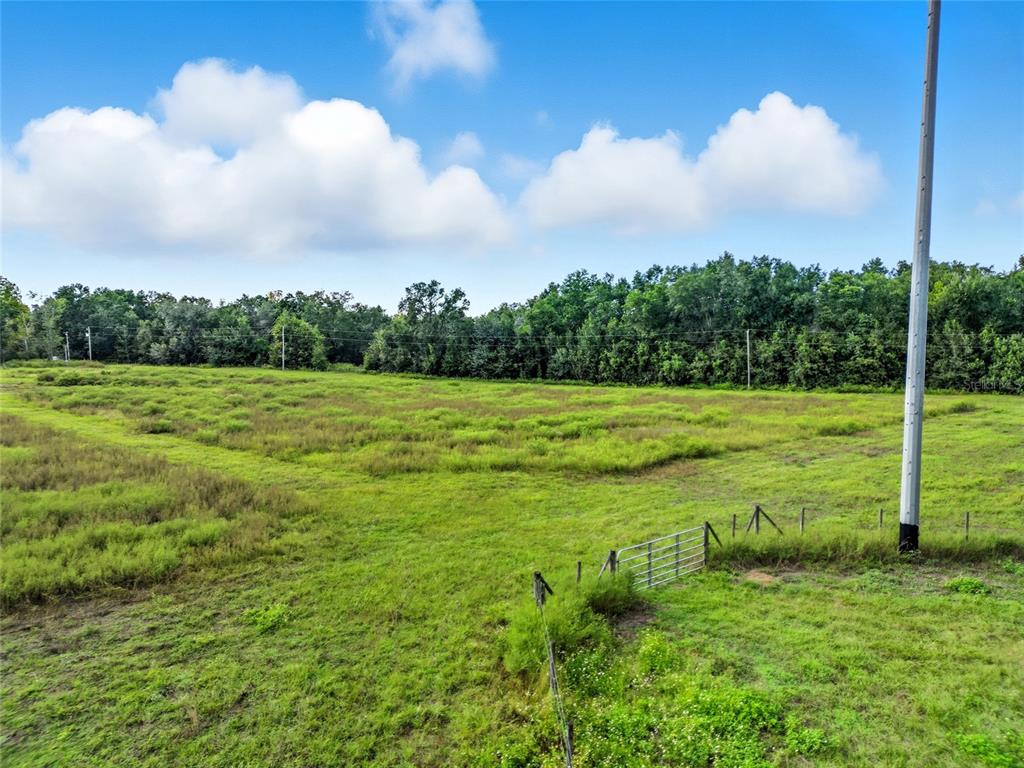 0 Powerline Road Dade City, FL 33523 - Photo 6 of 6