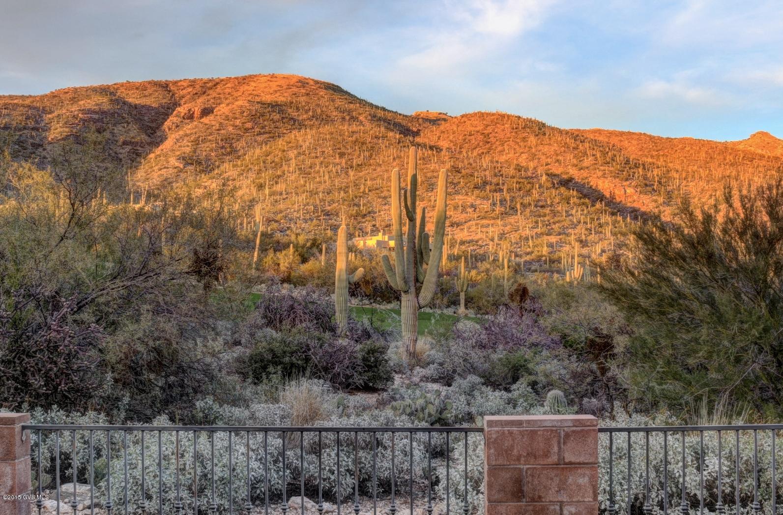 5418 North Ridge Spring Place Tucson, AZ 85749 - Photo 17 of 17 Gallery Image 17