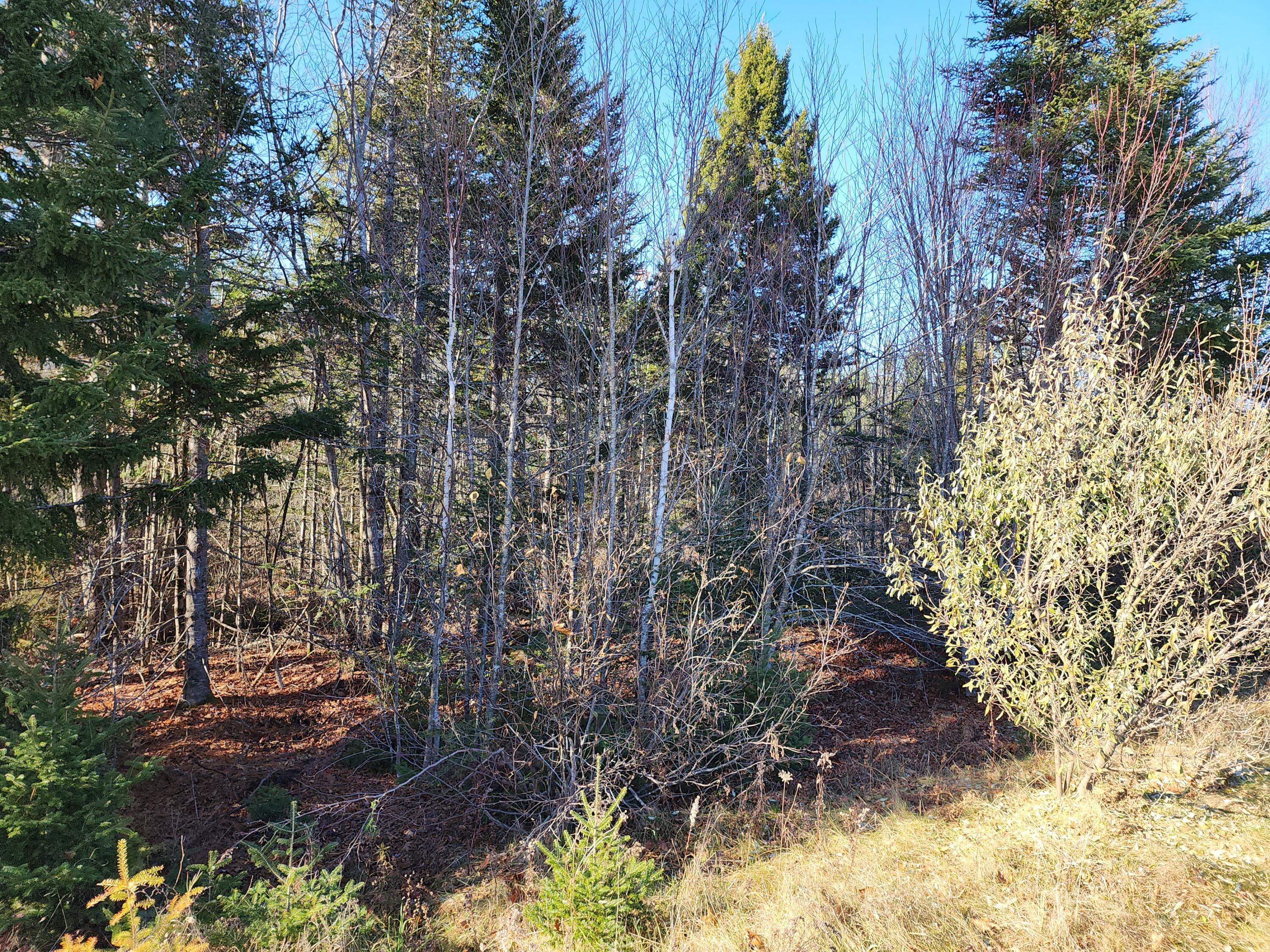 41 Sandy Ridge Lane Searsport, ME 04974 - Photo 2 of 8 20231121_131003