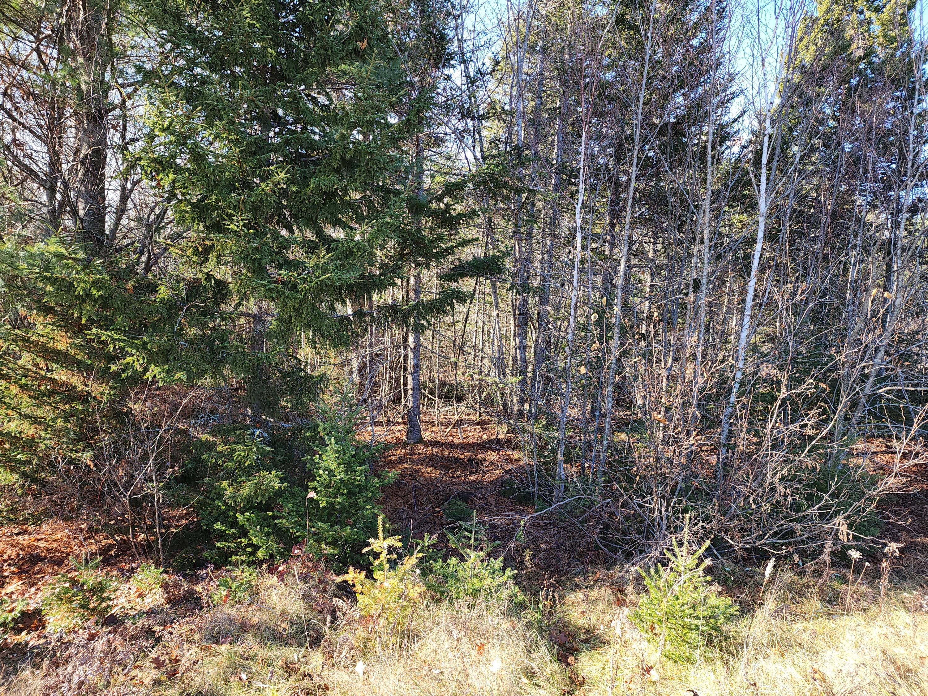 41 Sandy Ridge Lane Searsport, ME 04974 - Photo 3 of 8 20231121_131000