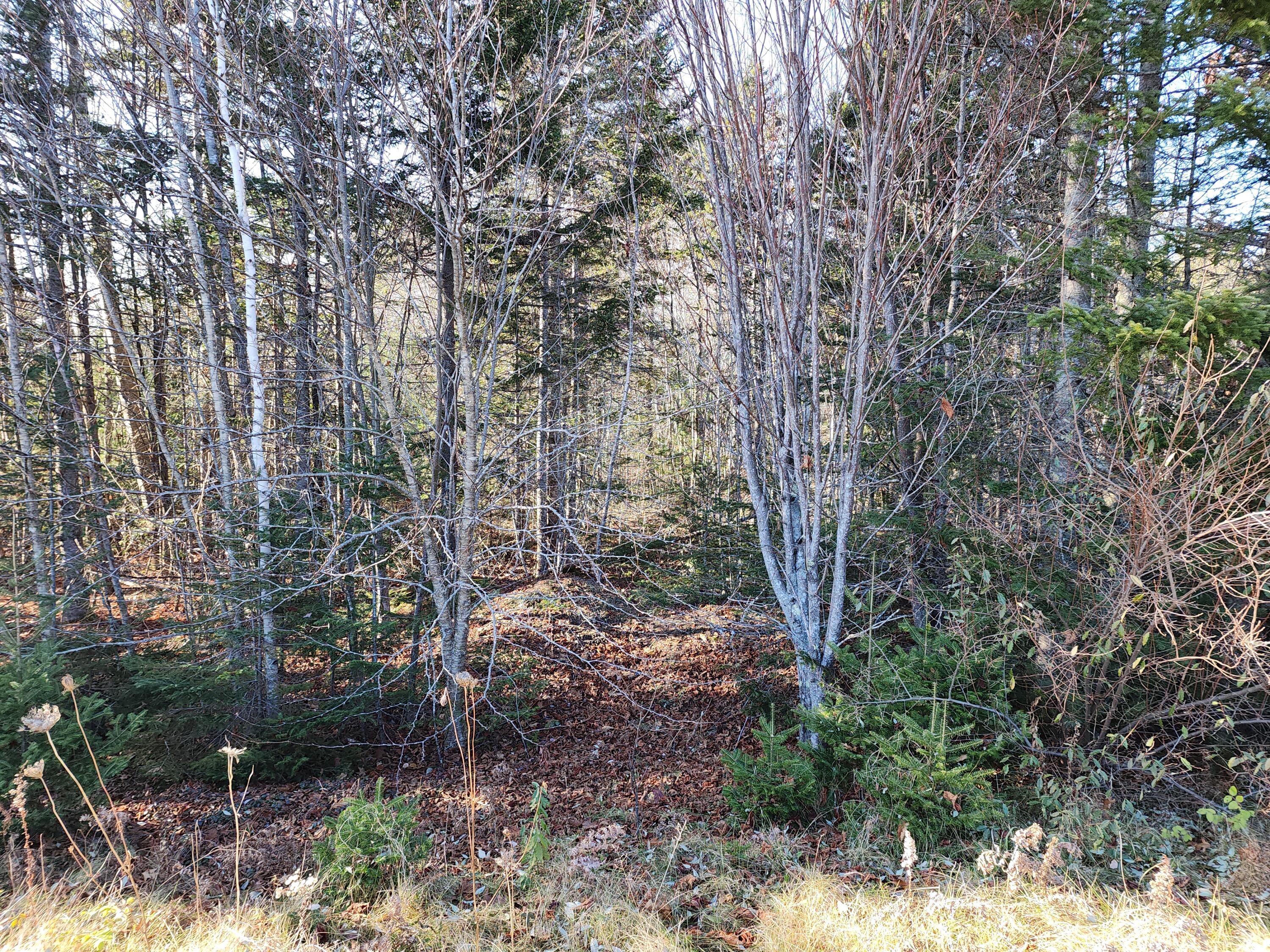 41 Sandy Ridge Lane Searsport, ME 04974 - Photo 4 of 8 20231121_130946