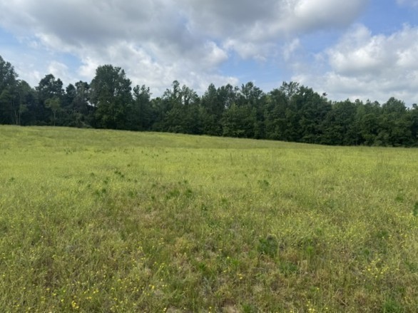 0 Cal Durham Road Bethpage, TN 37022 - Photo 21 of 28