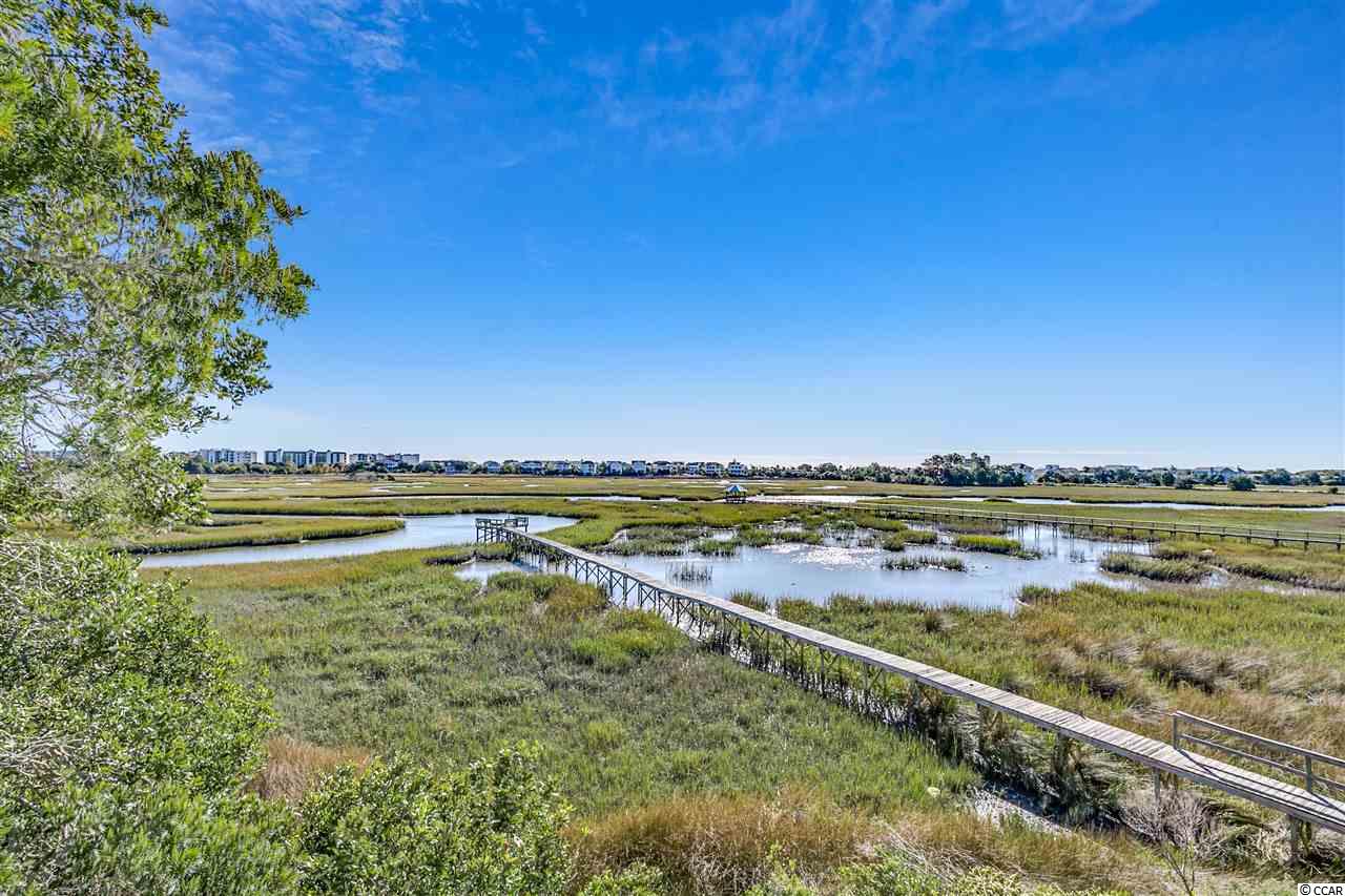 127 Sea Level Loop Pawleys Island, SC 29585 - Photo 24 of 40 Gallery Image 24