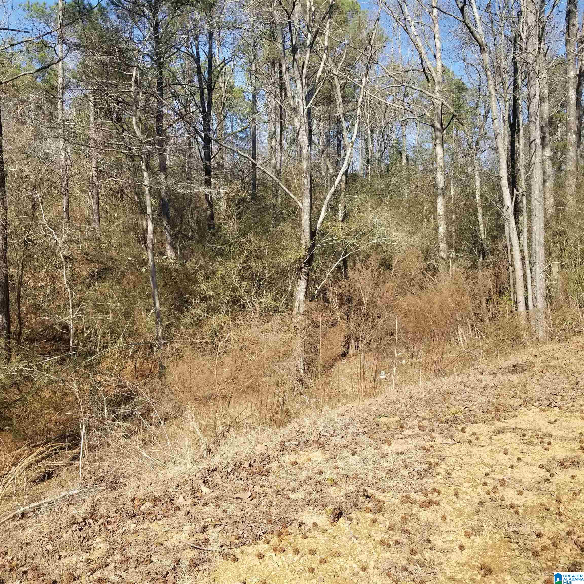 635 Deerbrook Road Pell City, AL 35125 - Photo 7 of 39