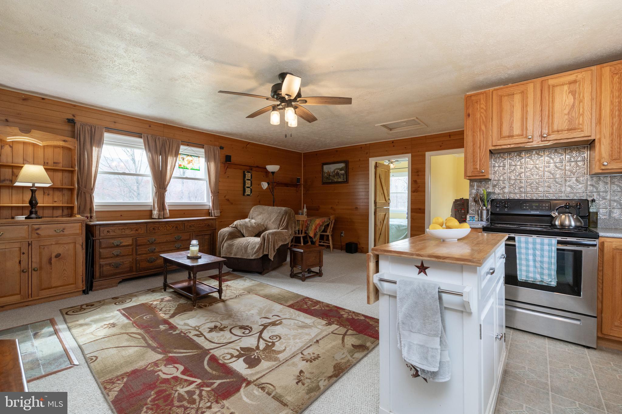 411 Mountain Lake Drive Front Royal, VA 22630 - Photo 12 of 38 a living room with furniture a fireplace and a flat screen tv
