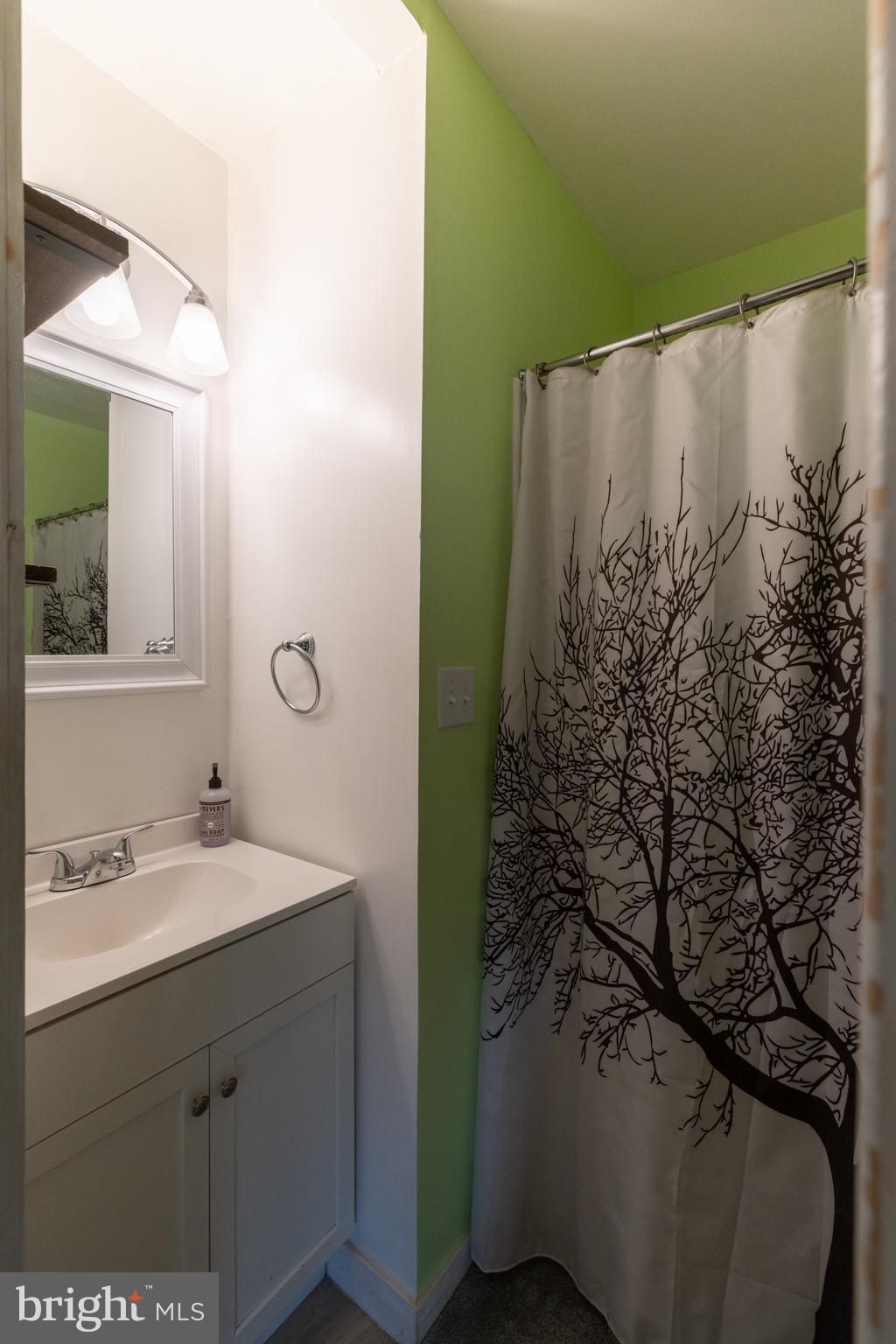 411 Mountain Lake Drive Front Royal, VA 22630 - Photo 24 of 38 a bathroom with a sink and mirror