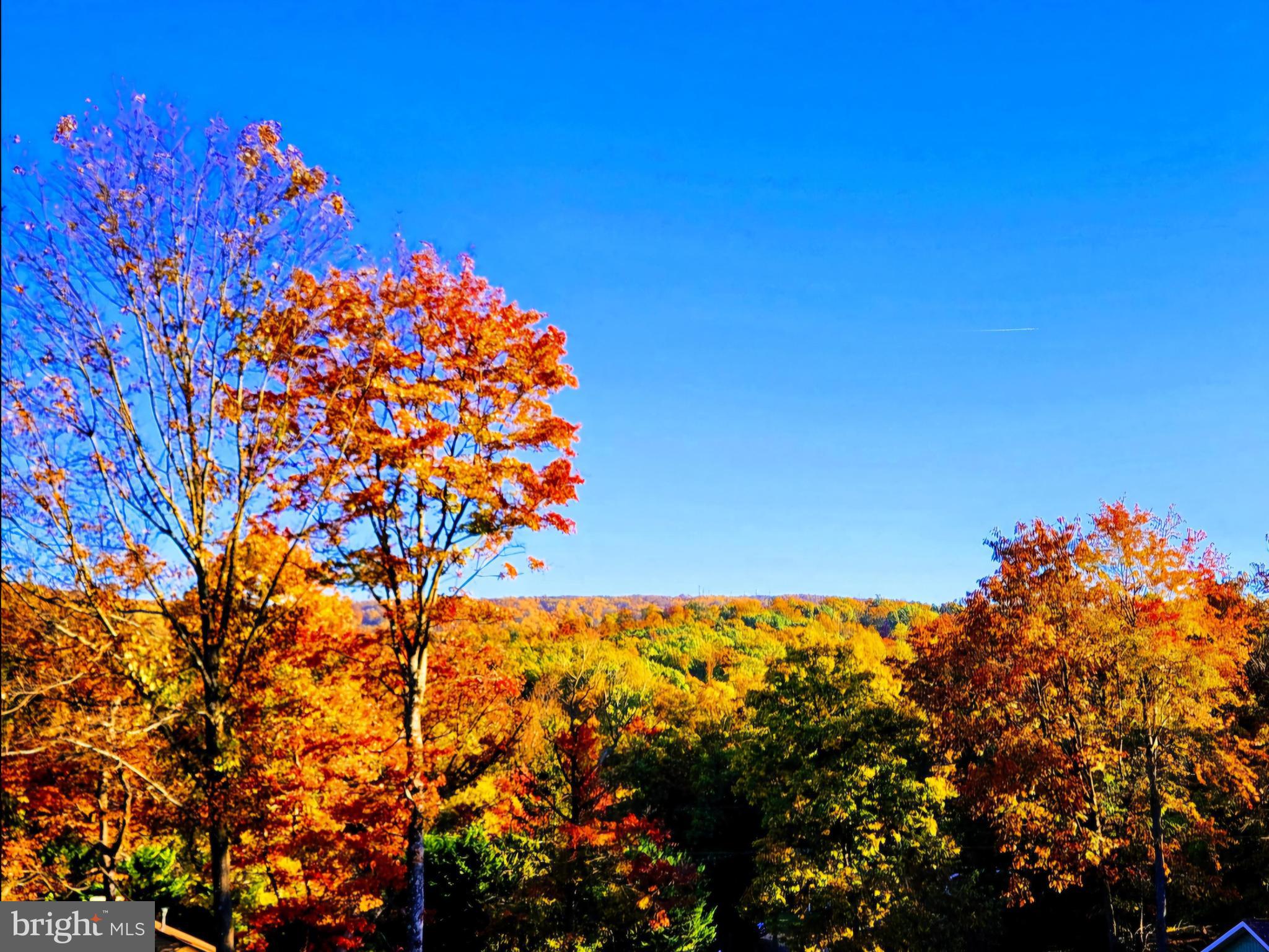 411 Mountain Lake Drive Front Royal, VA 22630 - Photo 38 of 38