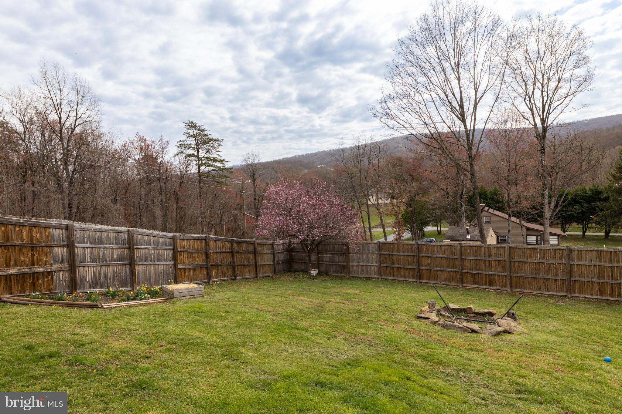 411 Mountain Lake Drive Front Royal, VA 22630 - Photo 4 of 38 a view of a backyard with a iron fence