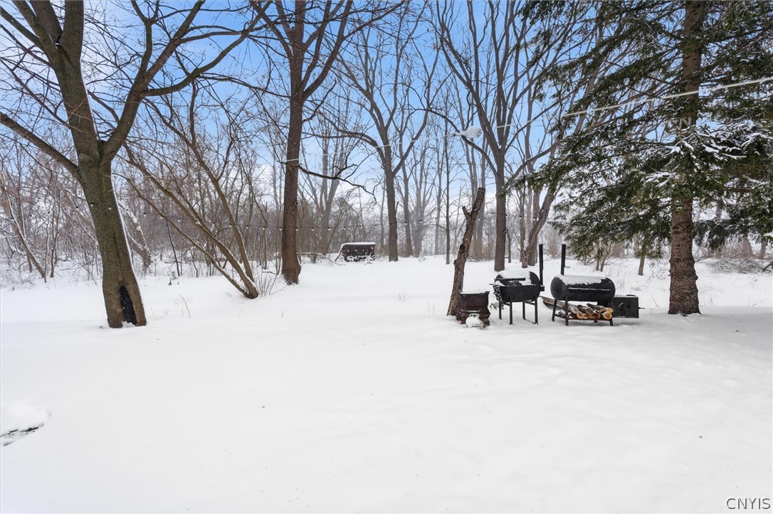 5197 Bluefield Road Fleming, NY 13021 - Photo 42 of 48