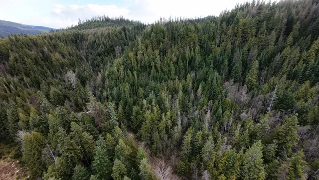 $150,000 | 7301 Highway 31, Ione, WA 99139