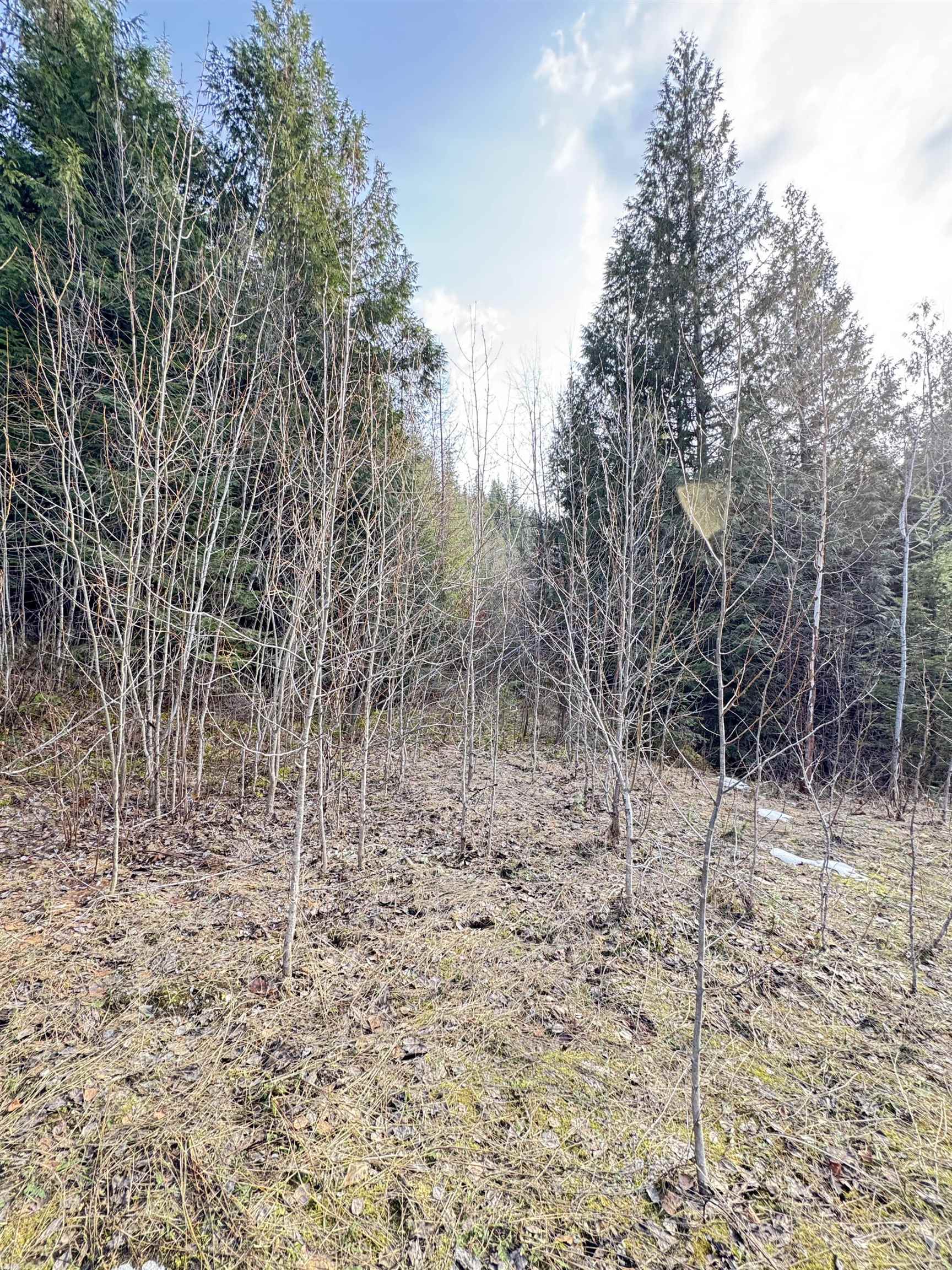 7301 Highway 31 Ione, WA 99139 - Photo 12 of 18