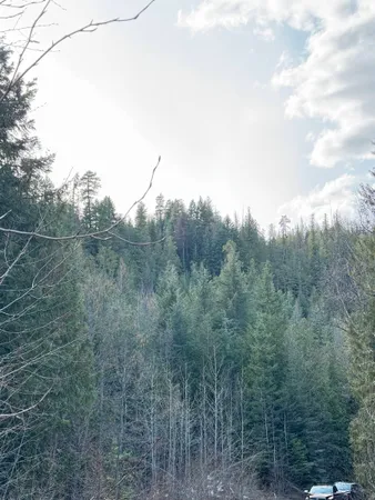 $150,000 | 7301 Highway 31, Ione, WA 99139