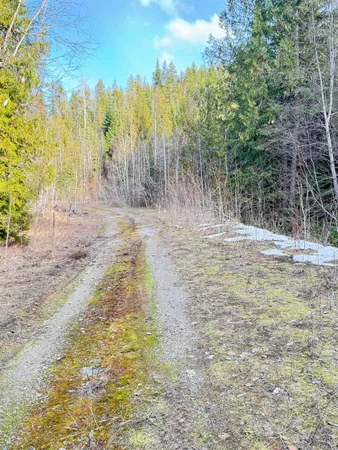 $150,000 | 7301 Highway 31, Ione, WA 99139