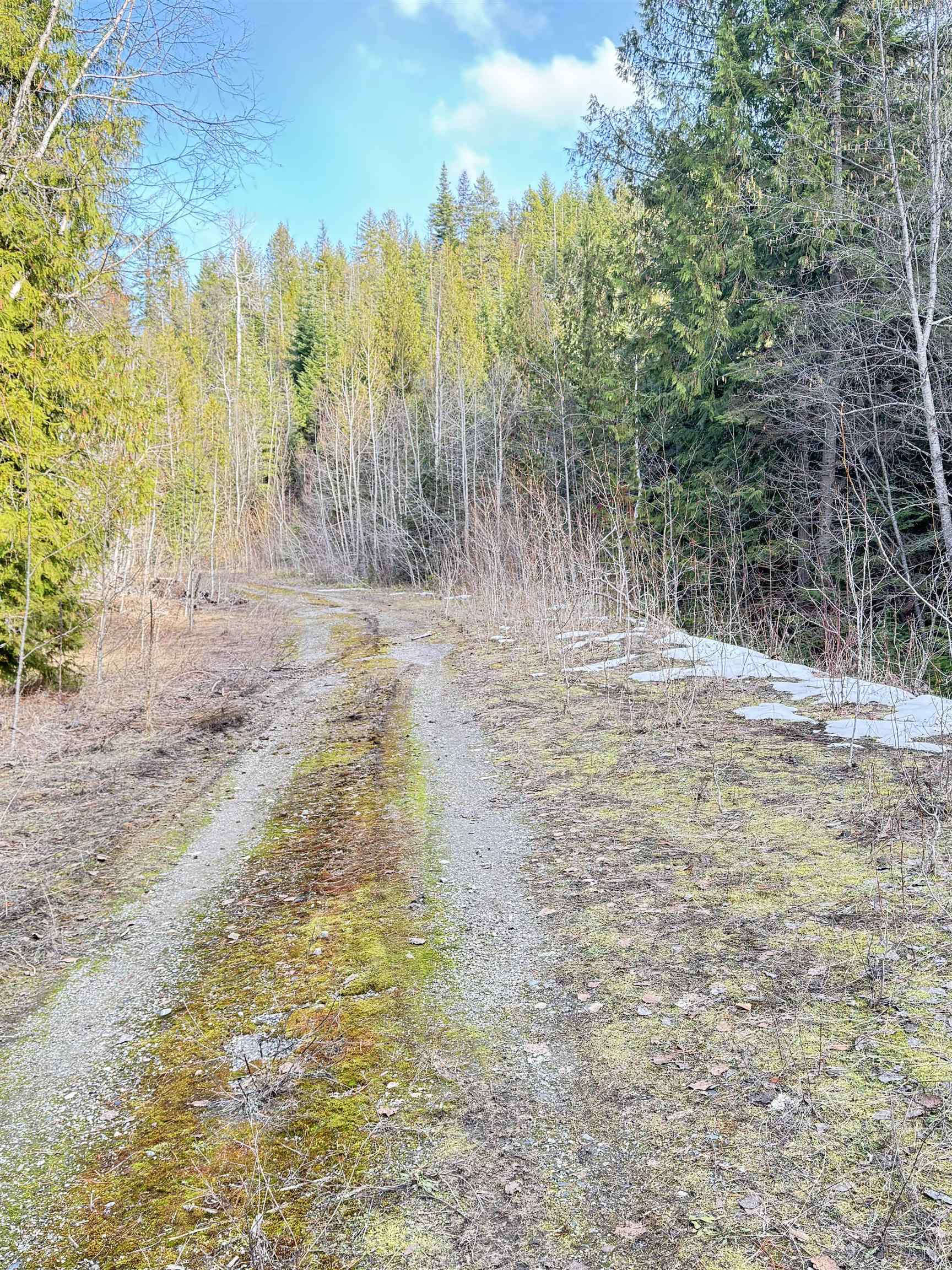 7301 Highway 31 Ione, WA 99139 - Photo 14 of 18