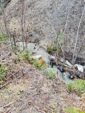 $150,000 | 7301 Highway 31, Ione, WA 99139