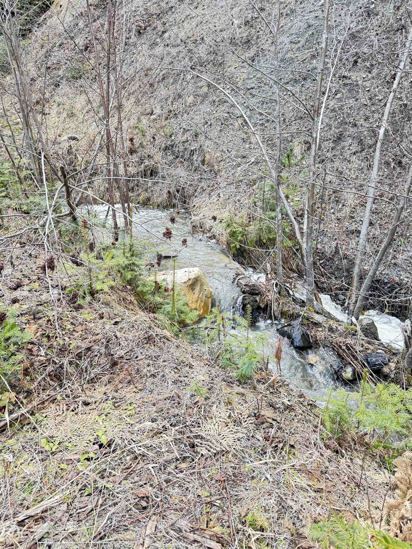 7301 Highway 31 Ione, WA 99139 - Photo 4 of 18