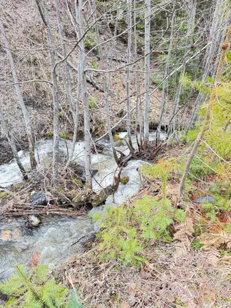 $150,000 | 7301 Highway 31, Ione, WA 99139