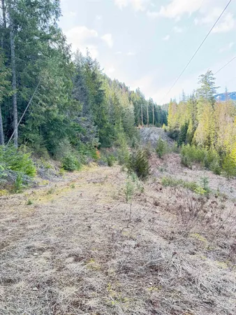 $150,000 | 7301 Highway 31, Ione, WA 99139