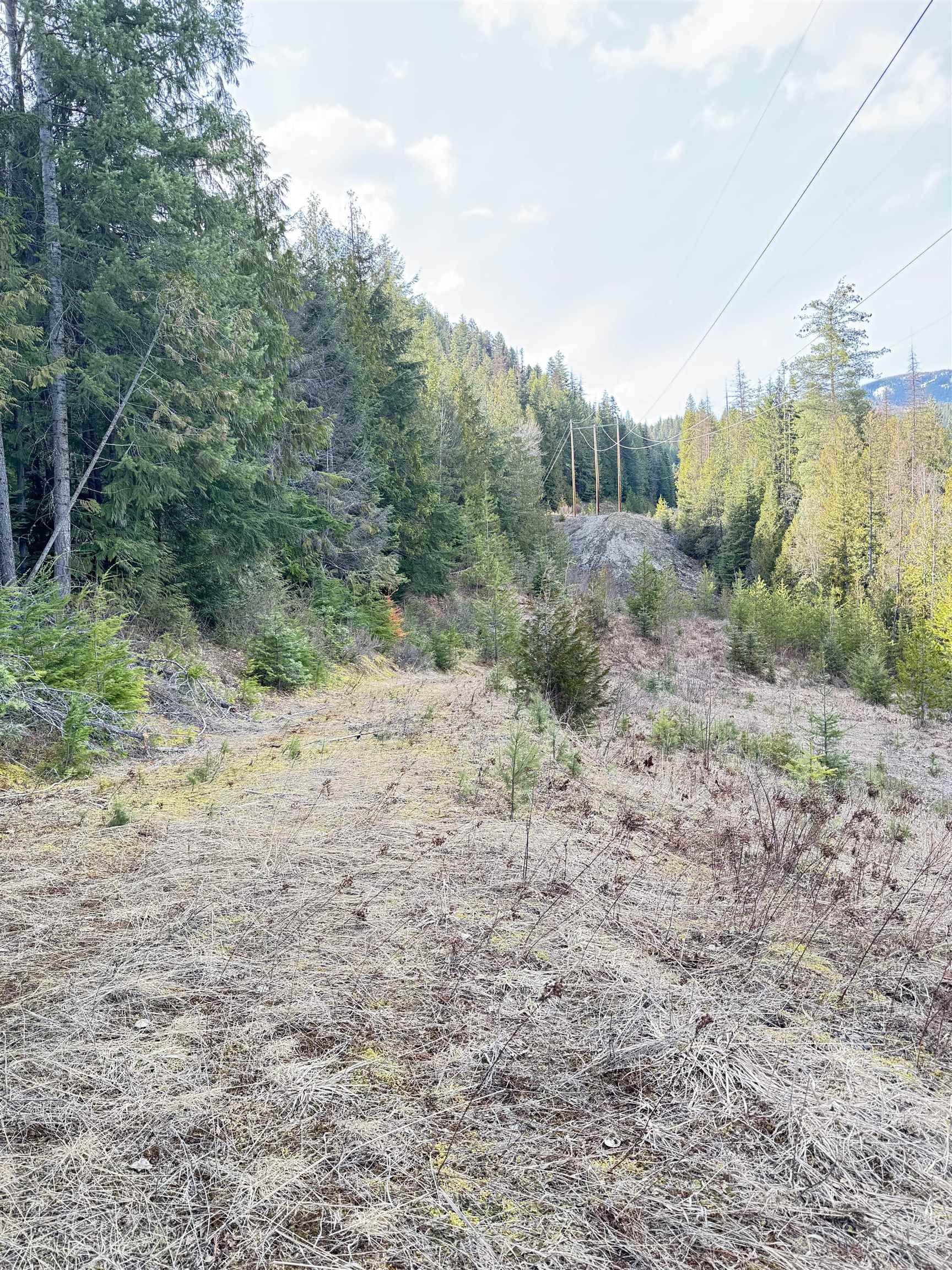 7301 Highway 31 Ione, WA 99139 - Photo 6 of 18