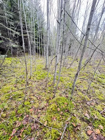 $150,000 | 7301 Highway 31, Ione, WA 99139