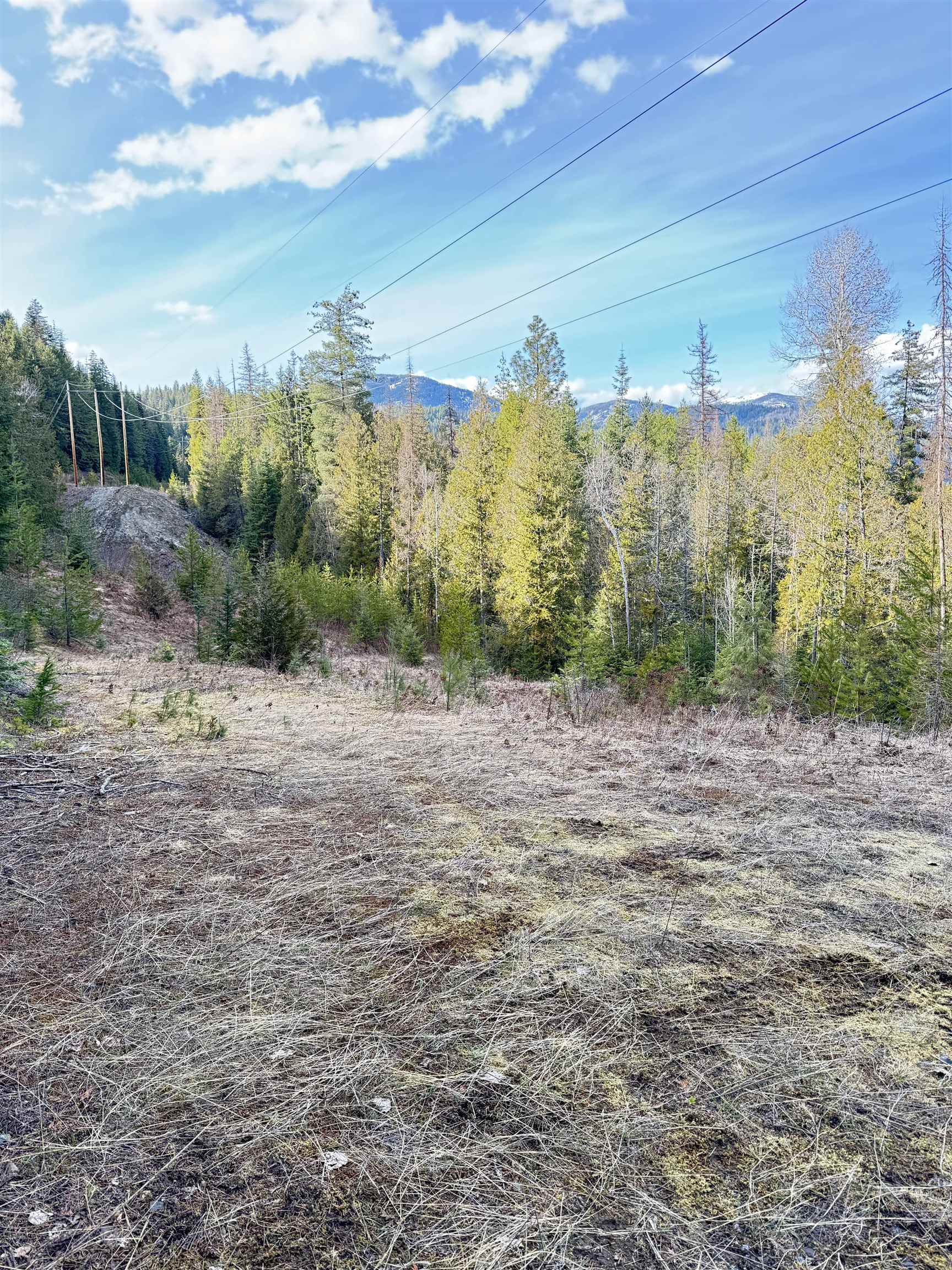 7301 Highway 31 Ione, WA 99139 - Photo 9 of 18