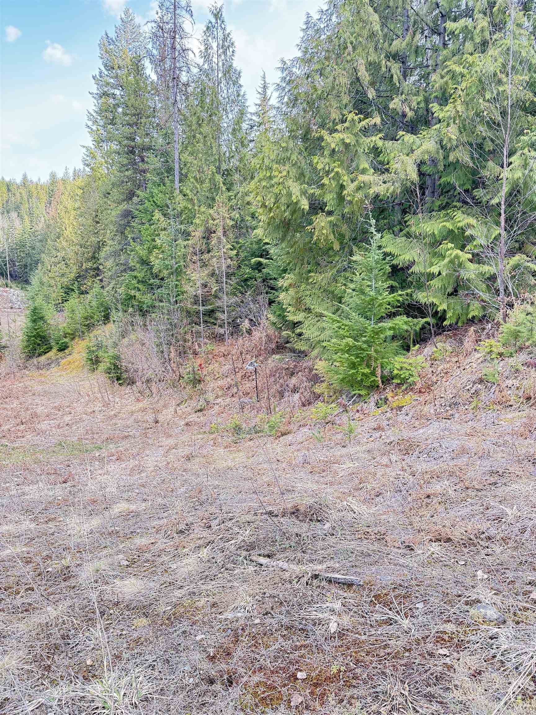 7301 Highway 31 Ione, WA 99139 - Photo 10 of 18