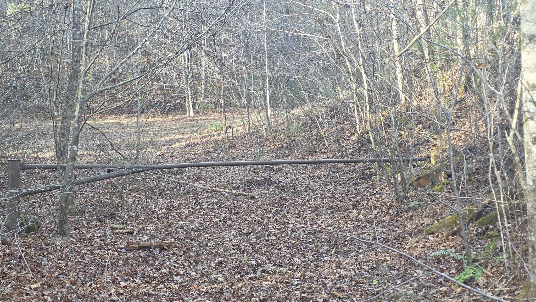 0 Bakers Creek Road Old Fort, TN 37362 - Photo 4 of 15