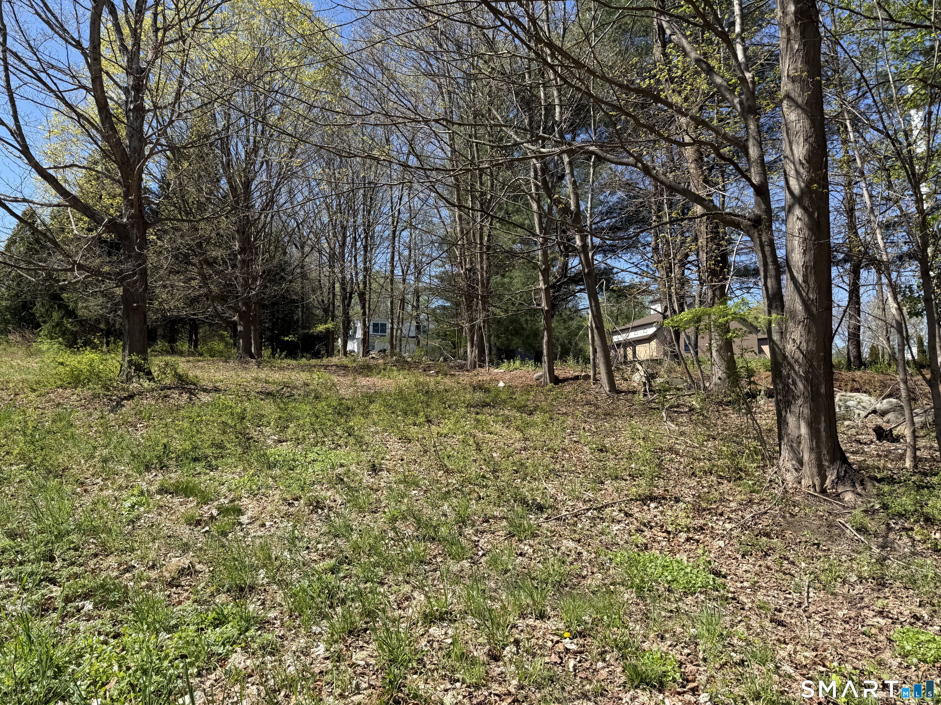 163 Clapboard Ridge Road Danbury, CT 06811 - Photo 11 of 17 a backyard of a house with lots of green space