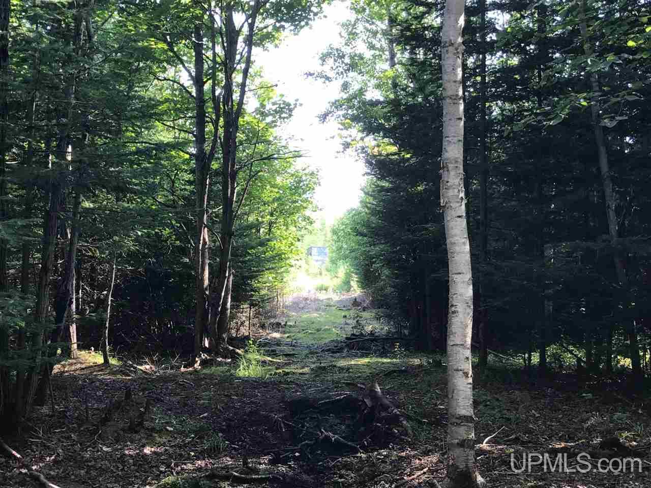 2324 Carlson Road Manistique, MI 49854 - Photo 20 of 35 Gallery Image 20
