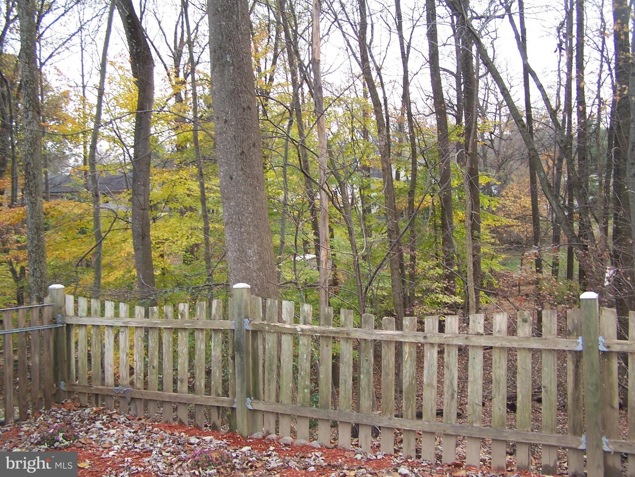 2850 Aquarius Avenue Silver Spring, MD 20906 - Photo 24 of 26 Did I say backs to woods?