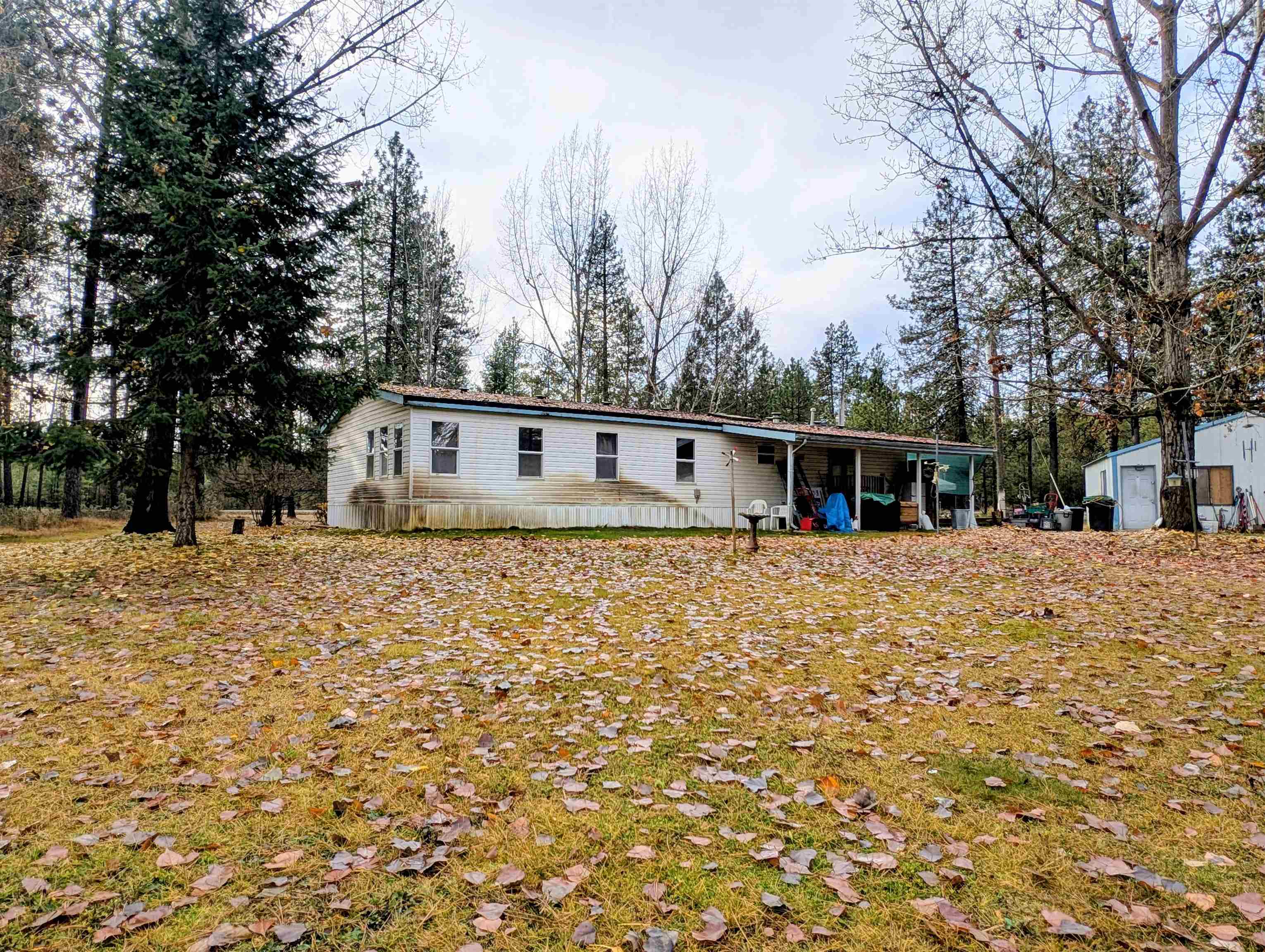 4040 Lyon And Moss Road Loon Lake, WA 99148 - Photo 3 of 49