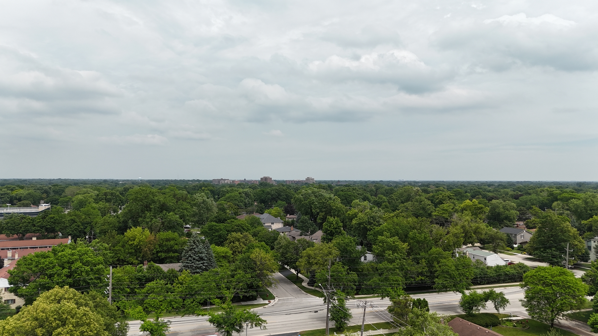 1017 South Ridge Avenue Arlington Heights, IL 60005 - Photo 11 of 12