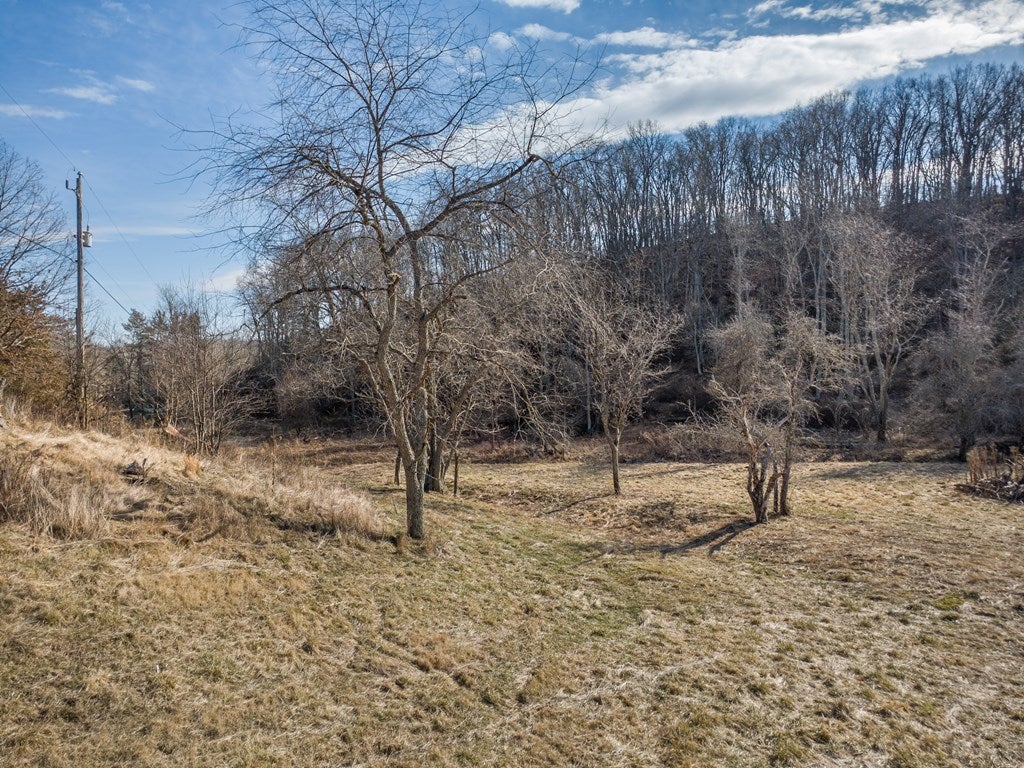 Tbd Fort Chiswell Road Max Meadows, VA 24360 - Photo 19 of 44 Gallery Image 19