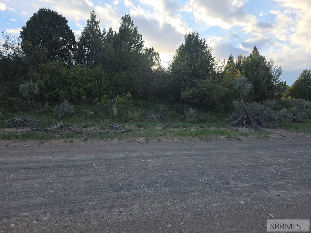 Tbd 40-ac Tbd 40-ac Arcadia Road Ashton, ID 83420 - Photo 37 of 43