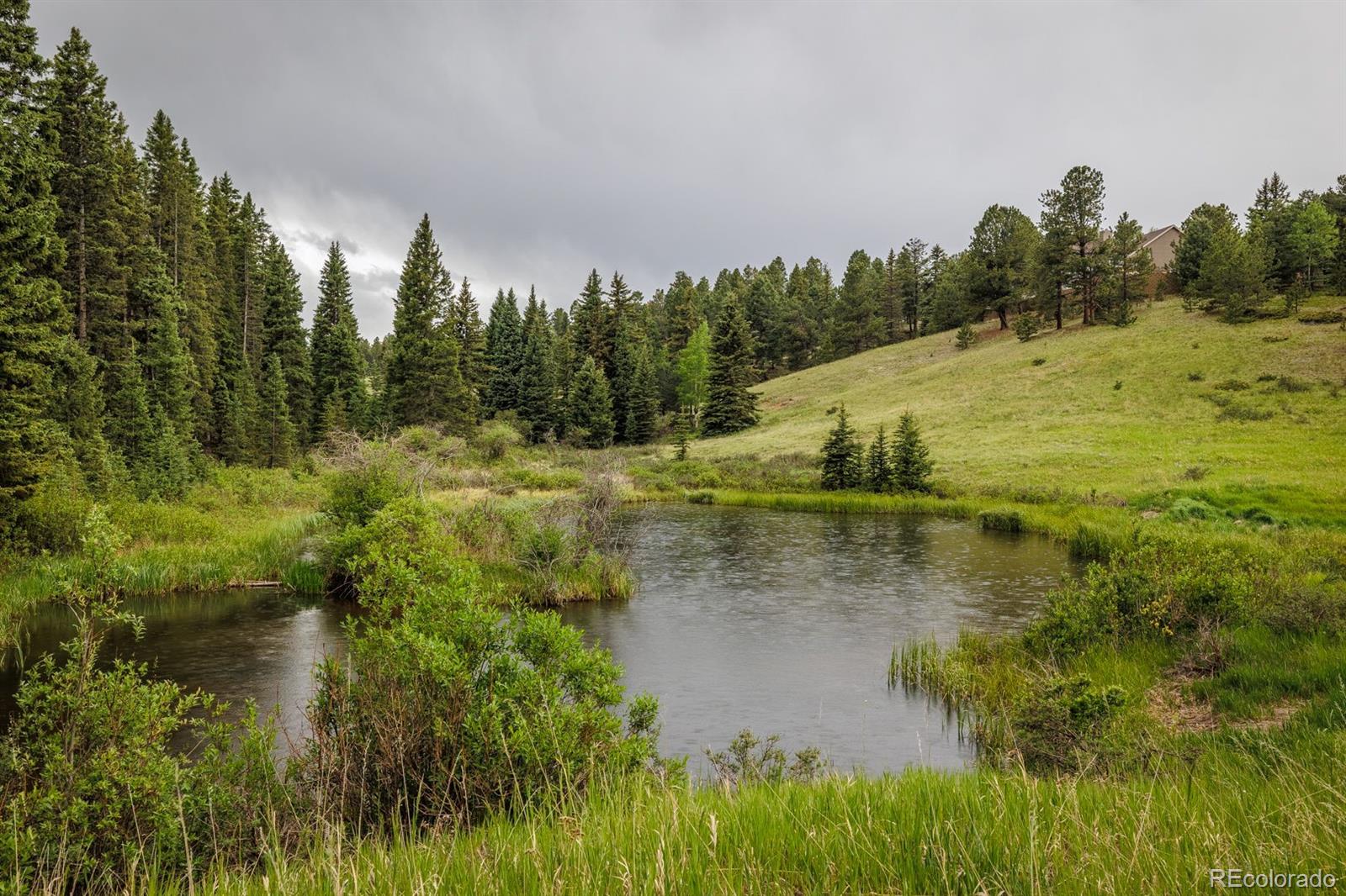 6100 Elk Valley Road Divide, CO 80814 - Photo 46 of 50 Gallery Image 46